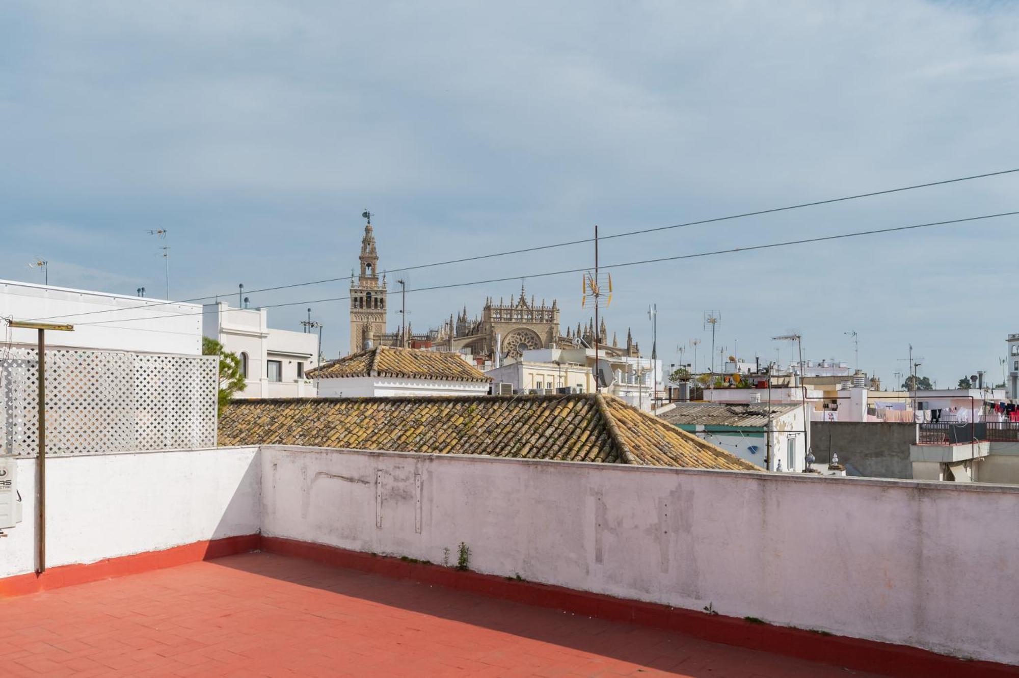 Mara Arenal * Sevilla